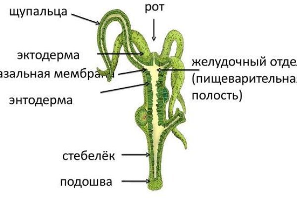 Как восстановить аккаунт на кракене